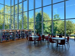 Summer School Cleaning Tips - Library